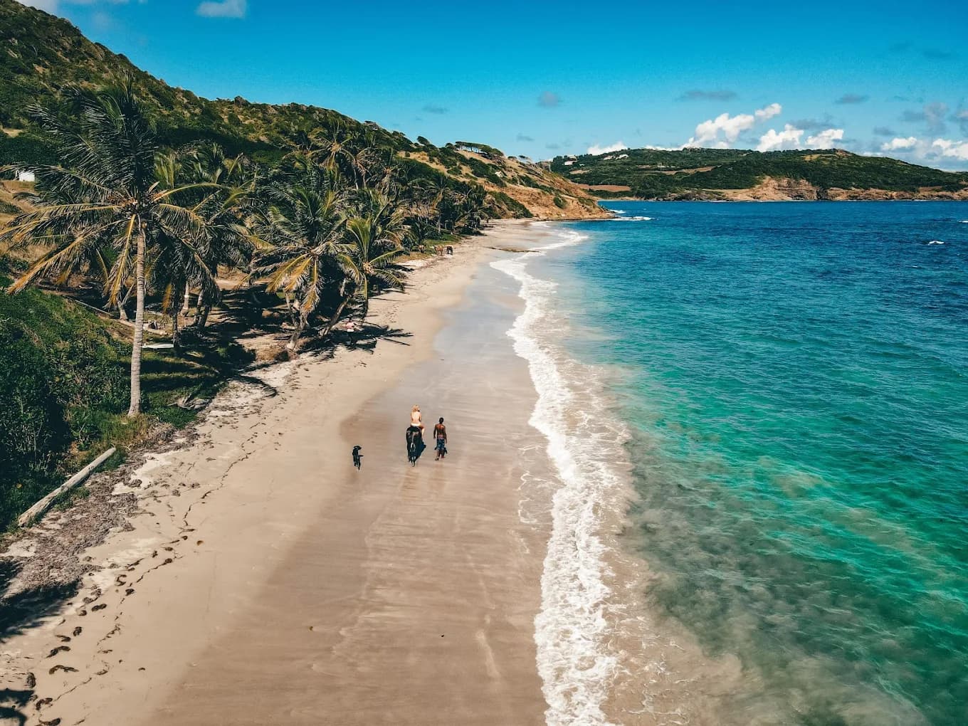 Saint Lucia tours — lush tropical coastline with crystal-clear Caribbean waters